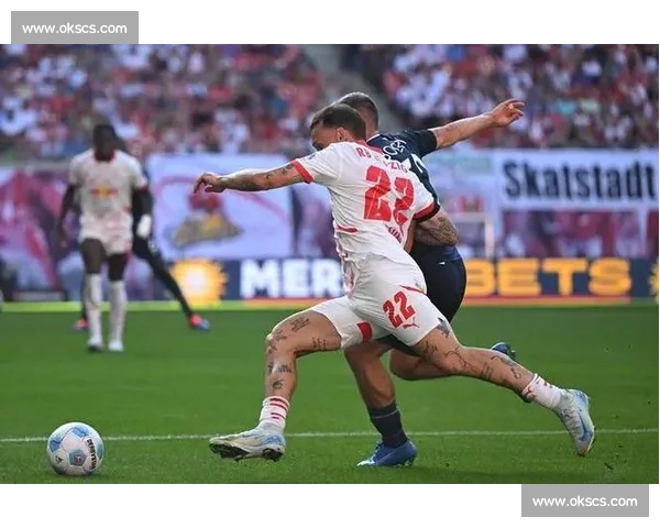 劳姆谈失利与成长：从批评中站起的德国队