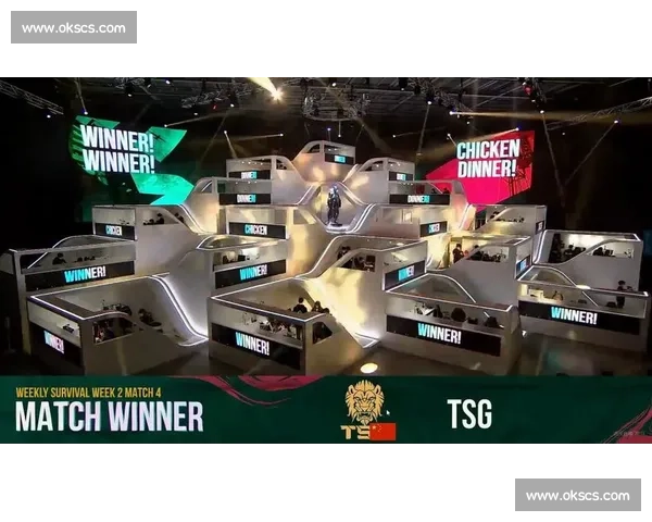 TSG战队选手赛后采访:跌宕起伏的比赛,他们如何走出阴影 TSG战队选手赛后采访:跌宕起伏的比赛,他们如何走出阴影